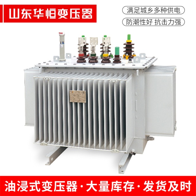 S13-10000/35衢州衢州衢州电力变压器